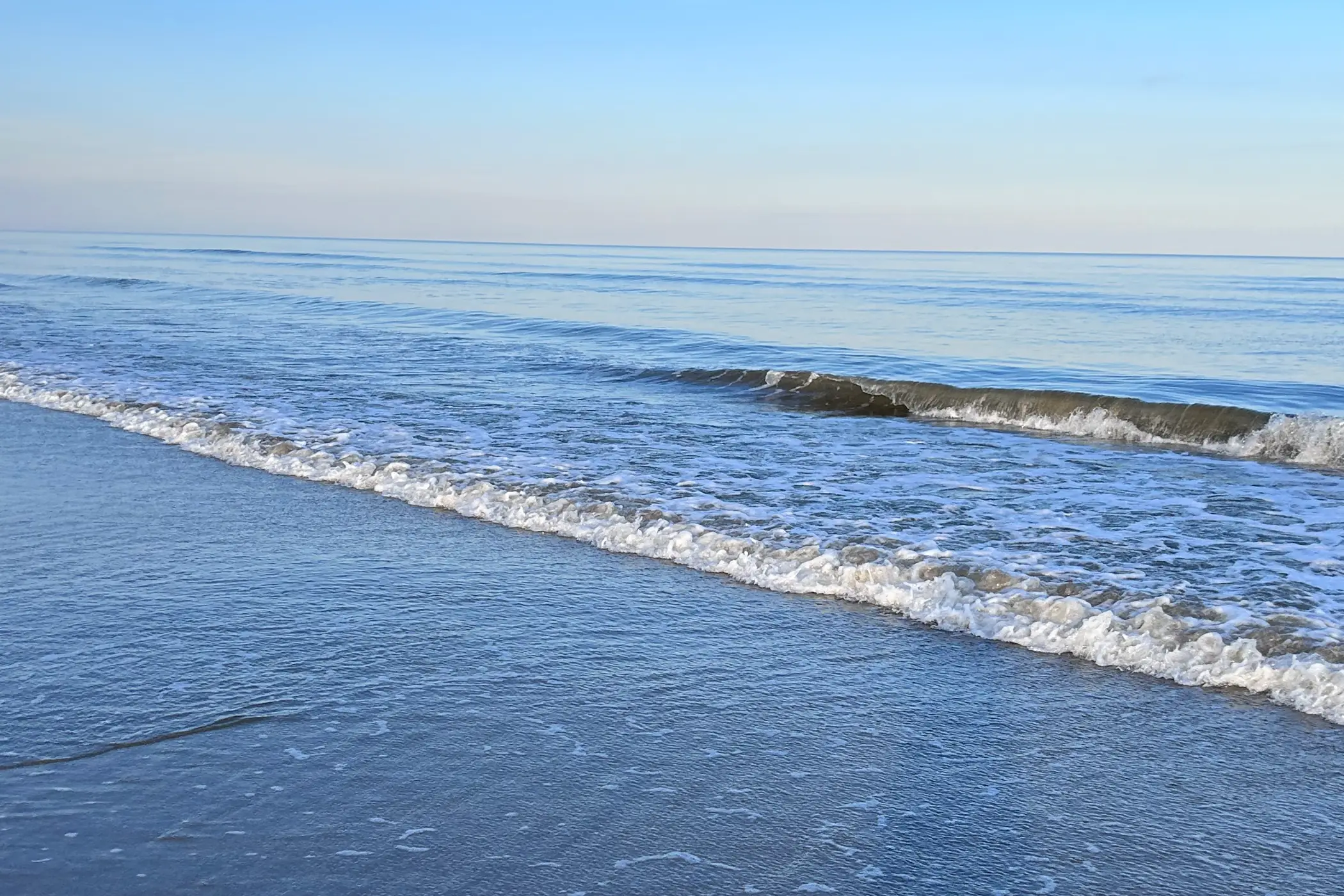 Isle Of Palms Short Term Banner Image