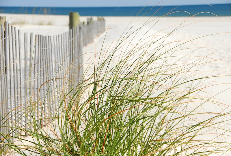 Isle Of Palms Vacation Property Management